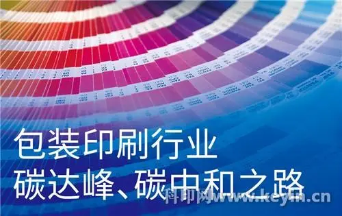 烟台市政协委员张彤：促进印刷行业集团化运作
