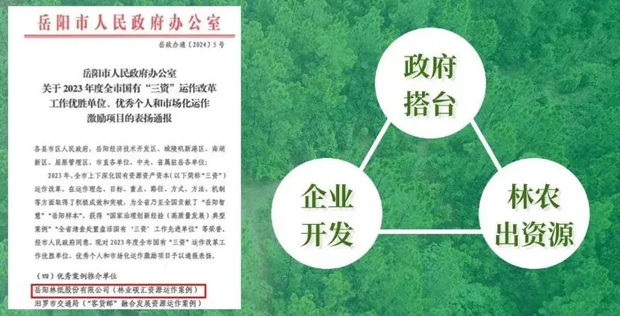 岳阳林纸2023年实现营收86.41亿元 碳汇业务崛起成为新增长极