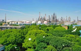 河南许昌东城区：绿色工厂“绿”意盎然