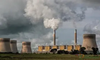 印度造纸行业的现状、风险和发展机遇