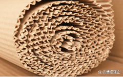 到2029年，数字印刷包装市场价值462亿美元