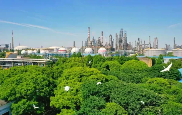 河南许昌东城区：绿色工厂“绿”意盎然