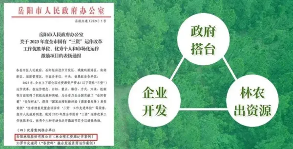 岳阳林纸2023年实现营收86.41亿元 碳汇业务崛起成为新增长极