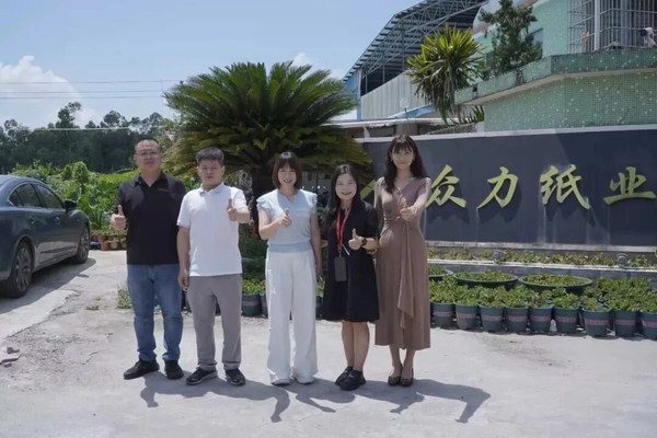 从纸箱小厂到彩印标杆：开平众力如何用科雷「印前-印刷」全链路智能化，筑起品质护城河